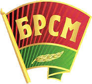 brsm 2025 